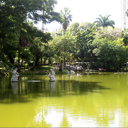 Campo de São Bento